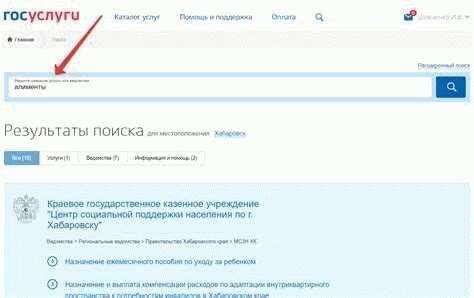 Можно ли дополнить заявление на получение алиментов в МФЦ?