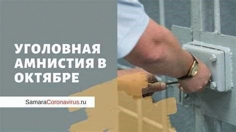 Уголовная амнистия в 2024 году в России