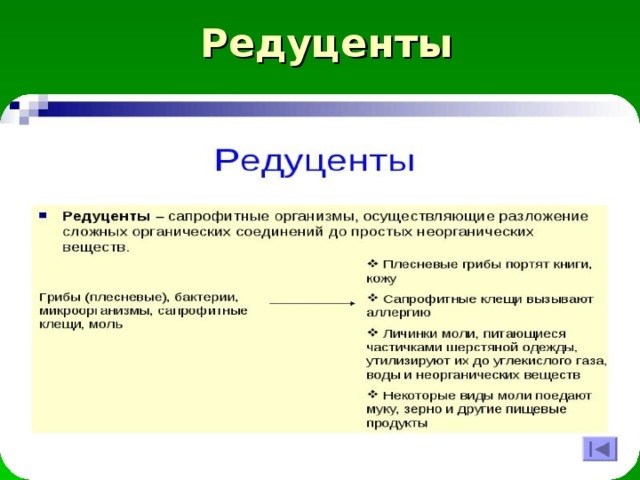 Значение воздухообмена для экосистемы квартиры