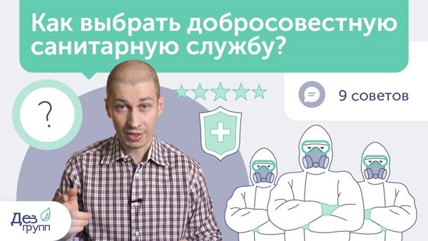 Почему важно проводить дезинсекцию?